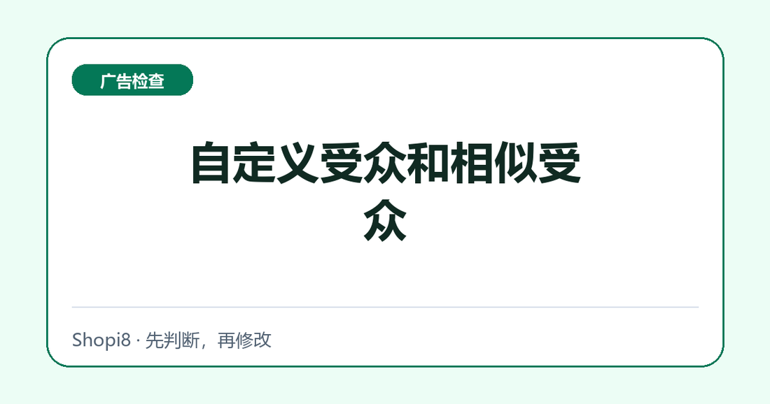 自定义受众和相似受众中文封面，突出广告检查主题